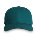 Nerd Heads Icon Cap — Gold Brain Logo Baseball Hat